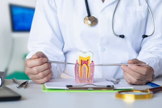 Best Walk-In Emergency Dental Services in Green Oaks, IL